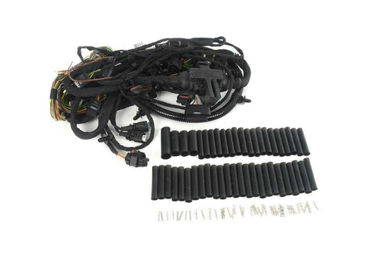 Cableado de reparación puerta delantera derecha OEM 61115A0A334 para BMW X6 G06. Original BMW.