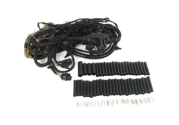 Cableado de reparación puerta delantera derecha OEM 61115A0A334 para BMW X6 G06. Original BMW.