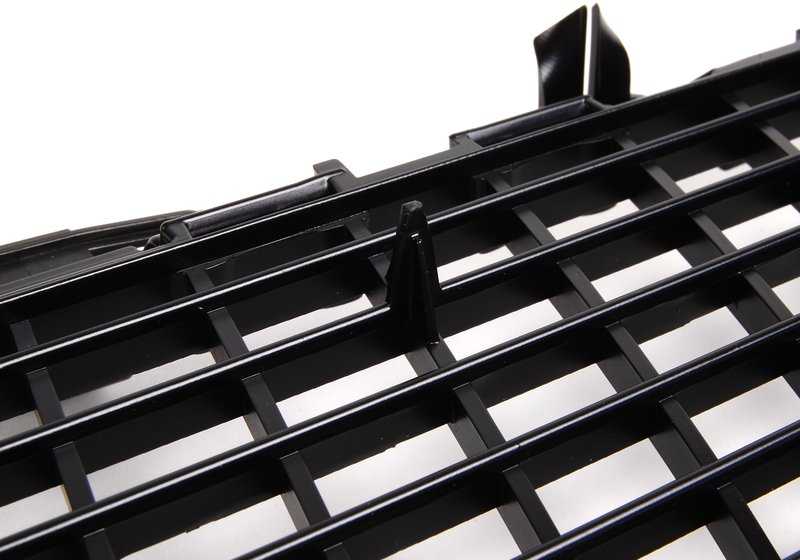 Parrilla rejilla capo para BMW x5 e53. Original BMW