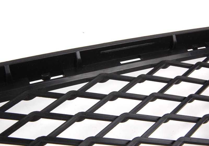 Offenes zentrales Netz für BMW 3 E92, E93 (OEM 51117175016). Original BMW.
