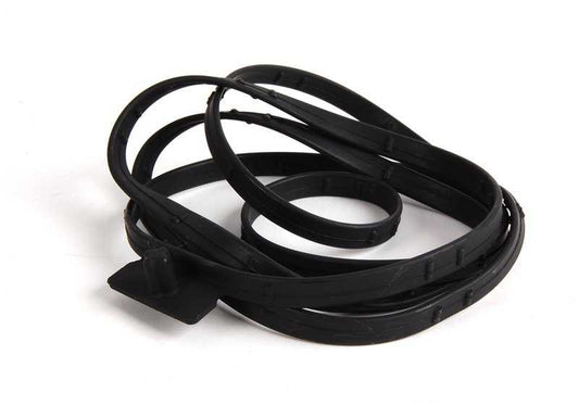 Oil Carter Board per BMW 3 E90 Series, E91, E92, E93, 5 E60 Series, E61, Serie 6 E63, E64, Serie 7 E65, E66, F01, F02, X3 E83N, X5 E70, X6 E71 (OEM 24117571204). BMW originale