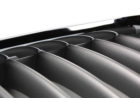 Right front decorative grid 51138250052 for BMW X5 E53 (models: 3.0d, 3.0i - 2000 to 2006). Titanium finish. Original BMW.