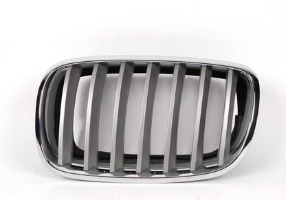 Dekoratives Netz für BMW x5 E70, E70N, x6 E71, E72 (OEM 51137185223). Original BMW.