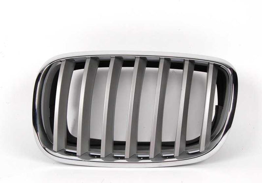 Dekoratives Netz für BMW x5 E70, E70N, x6 E71, E72 (OEM 51137185223). Original BMW.