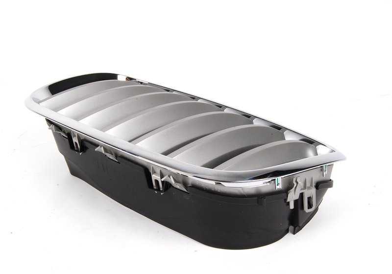Dekoratives Netz für BMW x5 E70, E70N, x6 E71, E72 (OEM 51137185223). Original BMW.