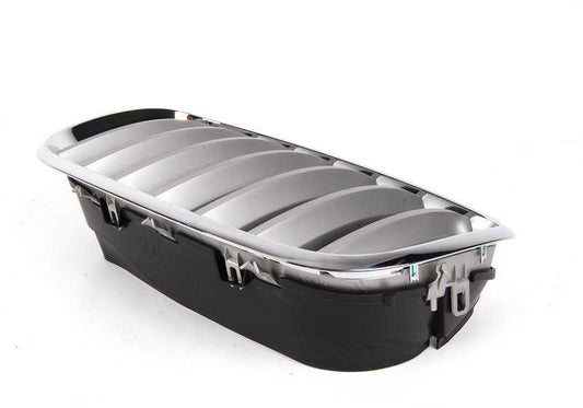 Dekoratives Netz für BMW x5 E70, E70N, x6 E71, E72 (OEM 51137185223). Original BMW.