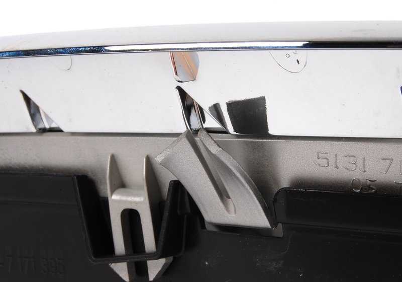 Dekoratives Netz für BMW x5 E70, E70N, x6 E71, E72 (OEM 51137185223). Original BMW.