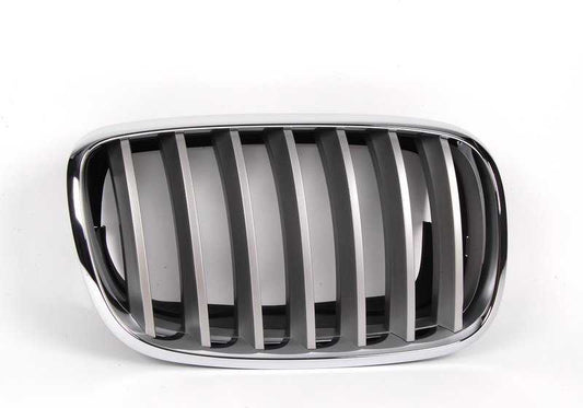 Rejilla delantera derecha en color titanio OEM 51137185224 para BMW X5 {E70} y X6 {E71, E72}. Compatible con modelos 3.0d, 3.0sd, 3.0si, 4.8i y M. Original BMW.