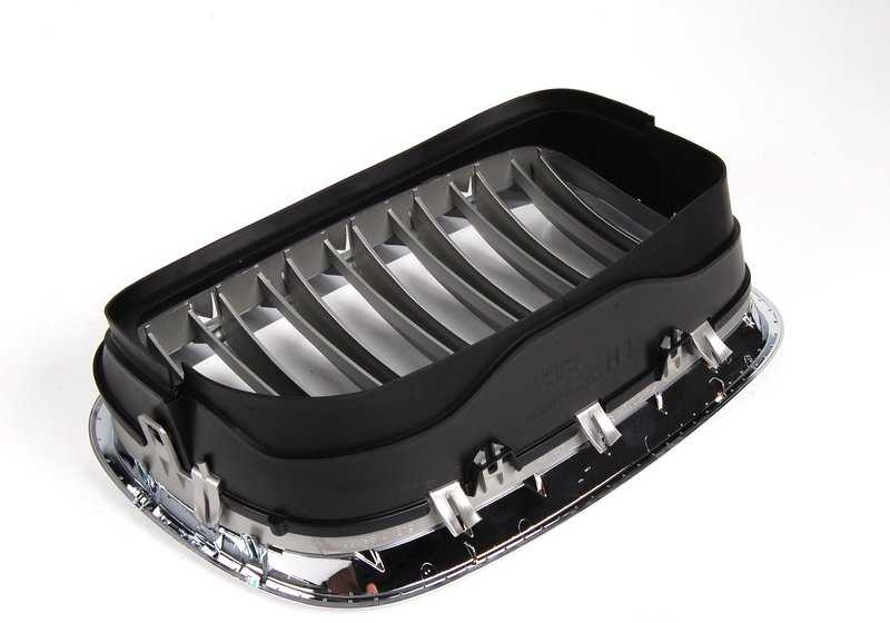 Dekoratives Netz für BMW x5 E70, E70N, x6 E71, E72 (OEM 51137185223). Original BMW.
