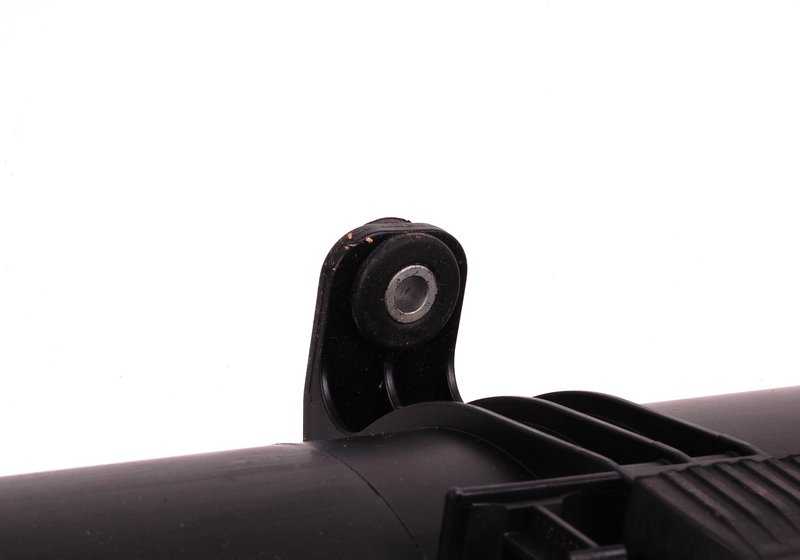 Filtre de carbone actif pour la série BMW 3 E46 (OEM 16131183893). BMW d'origine