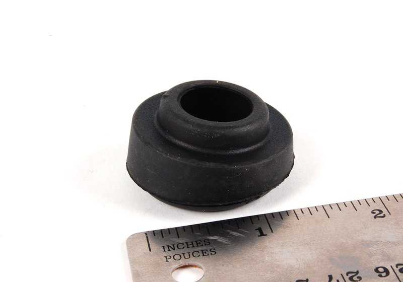 Spring for BMW X5 E53 (OEM 61628244453). Genuine BMW.