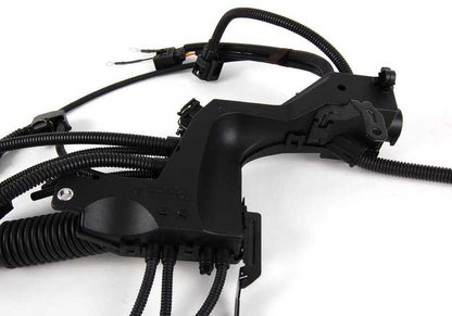 Cableado Motor Módulo del Motor para BMW Serie 3 E46 (OEM 12517523220). Original BMW