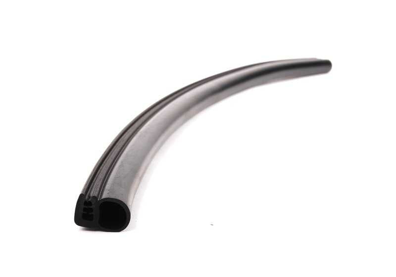 Sealing for BMW X3 E83, E83N (OEM 17113402190). Original BMW
