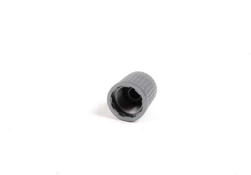 Válvula RDC corta OEM 36146792829 para BMW E46, E39, E60, E61, F10, F11, F30, F31, F32, F33, F34, E90, E91, E92, E93, X1, X3, X5, X6 y MINI R50-R61, F55-F57. Original BMW y MINI.