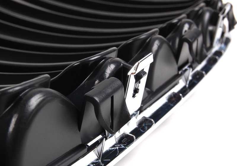 Grille d'ornement avant droit 51137113734 pour BMW X5 E53. BMW d'origine.