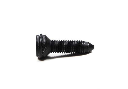 Parafuso Torx M8X18 para BMW 3 E46, E90, F30, X1 E84, X3 E83, F25 (OEM 54218410534). BMW original