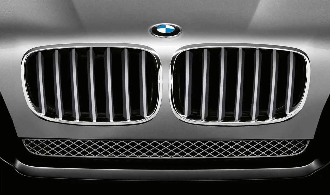 Dekoratives Netz für BMW x5 E70, E70N, x6 E71, E72 (OEM 51137185223). Original BMW.