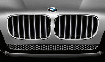 Dekoratives Netz für BMW x5 E70, E70N, x6 E71, E72 (OEM 51137185223). Original BMW.