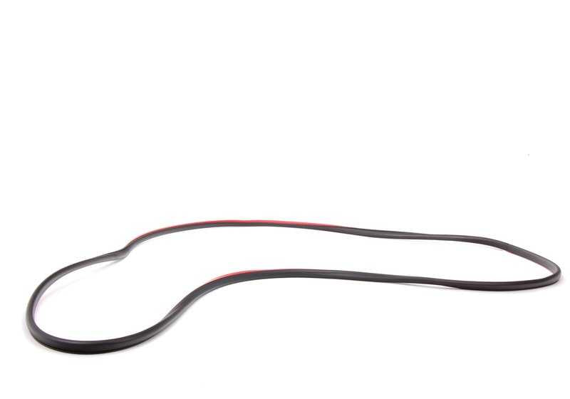 Burlete puerta delantera derecha OEM 51338194696 para BMW E46 {316i (todos los modelos)}. Original BMW.