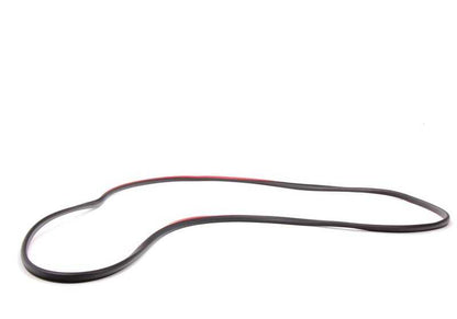 Burlete puerta delantera derecha OEM 51338194696 para BMW E46 {316i (todos los modelos)}. Original BMW.