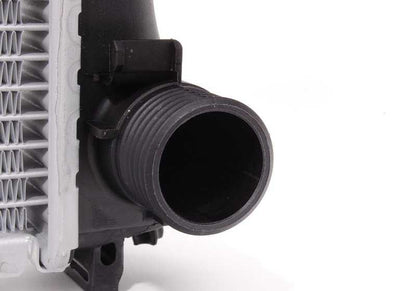 Radiatore del radiatore dell'olio di trasmissione OEM 17111712979 per BMW E30. BMW originale.