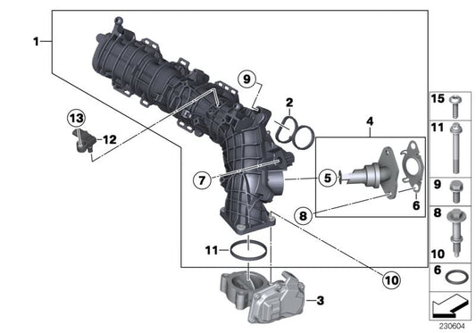 Junta tórica OEM 11618512681 para BMW {F20, F21, F40, F22, F23, F44, F45, F46, G42, E90, E91, E92, E93, F30, F31, F34, G20, G21, G28, F32, F33, F36, G22, G23, G26, F07, F10, F11, G30, G31, G32, G11, G12, E84, F48, F39, F25, G01, F26, G02, F15, G05}