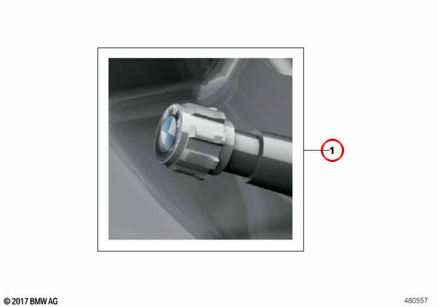 OEM-Ventilkappen 36122447401 für BMW F20, F30, G20, F10, G30, X5, X6… und mehr. Original BMW.