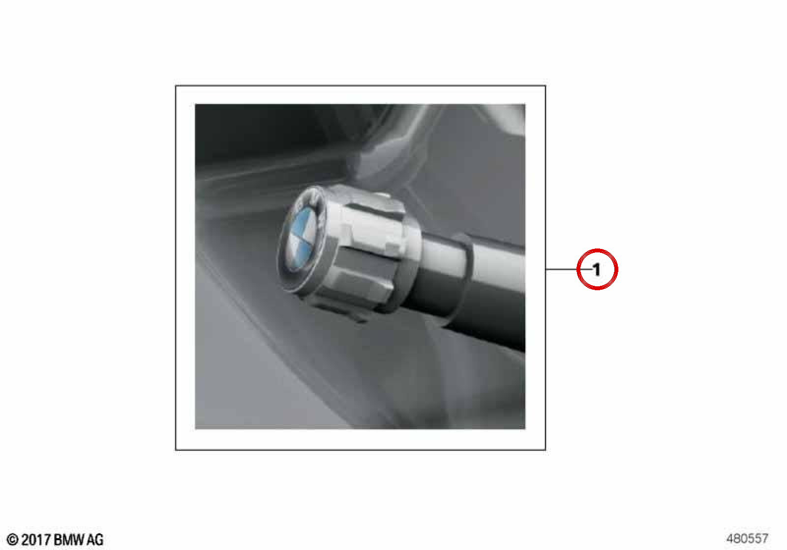OEM-Ventilkappen 36122447401 für BMW F20, F30, G20, F10, G30, X5, X6… und mehr. Original BMW.