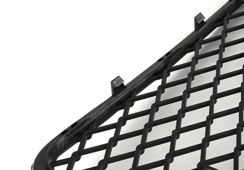 Black Open Central Central Grid OEM 51117163956 für BMW X5 E70 (3.0d, 3,0SD, 3.0SI, 4,8i) Jahre 2006 bis 2010. Originales BMW -Stück.