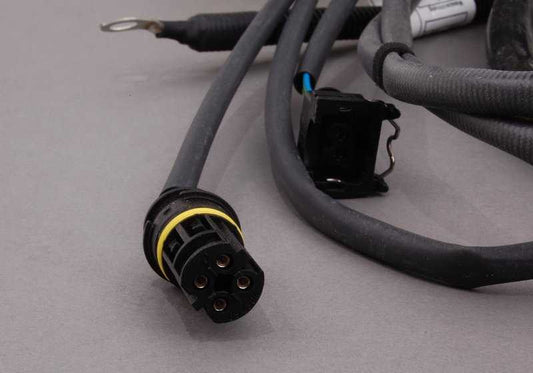 Cableado del motor y módulo de transmisión OEM 12517506794 para BMW E46 (320i, 323i, 325i, 328i, 330i). Original BMW.