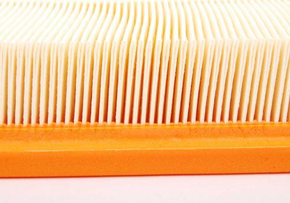 Filtro de aire OEM 13718507320 para BMW F20, F21, F22, F23, F30, F31, F34, F35, F32, F33, F36. Compatible con versiones N y no N. Recambio original BMW.