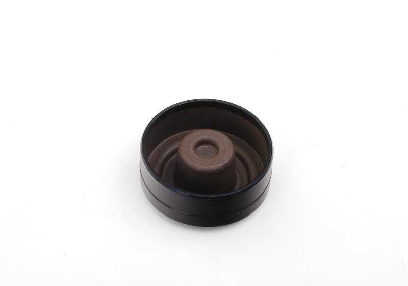 Fugenregelungsdeckel für BMW E36, E46, E34, E39 (OEM 24337520734). Original BMW.