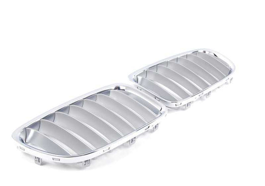 Grille decorative anteriori OEM 51117347669 per BMW E84 (serie 1 x1). BMW originale.
