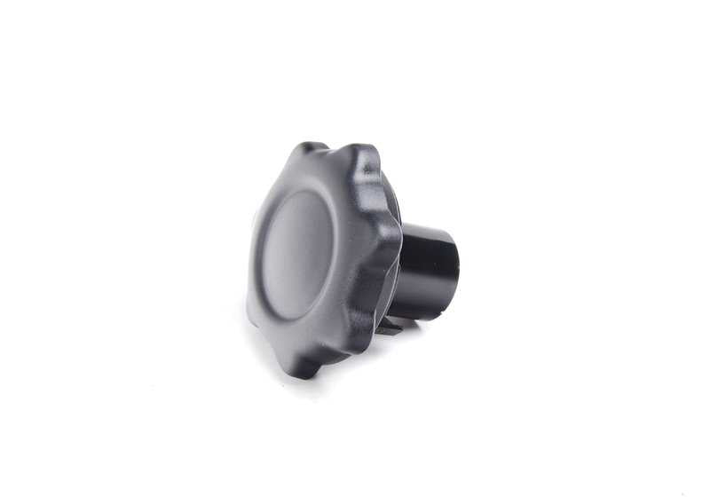 Apoyo lumbar izquierdo OEM 52109809395 para MINI Countryman R60, Cooper, Cooper D. Original MINI.