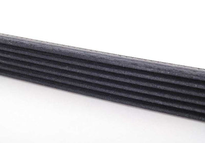Correa acanalada (poly V) OEM 11287520072 para BMW E36, E34, E60, E61, E65, E66. Original BMW.