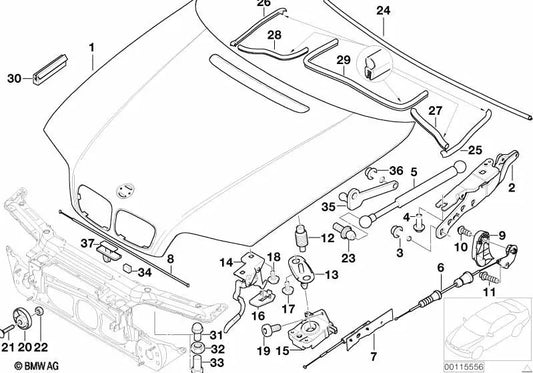 Boden des Frontverschlusses für BMW 3 E46 -Serie (OEM 51237894369). Original BMW