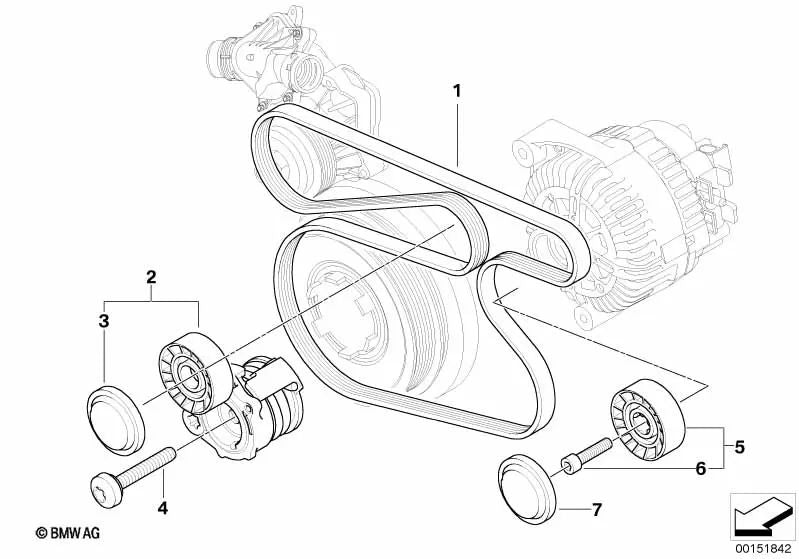 Correa poly V pour la série BMW 1 E87 (OEM 11287795601). BMW d'origine.