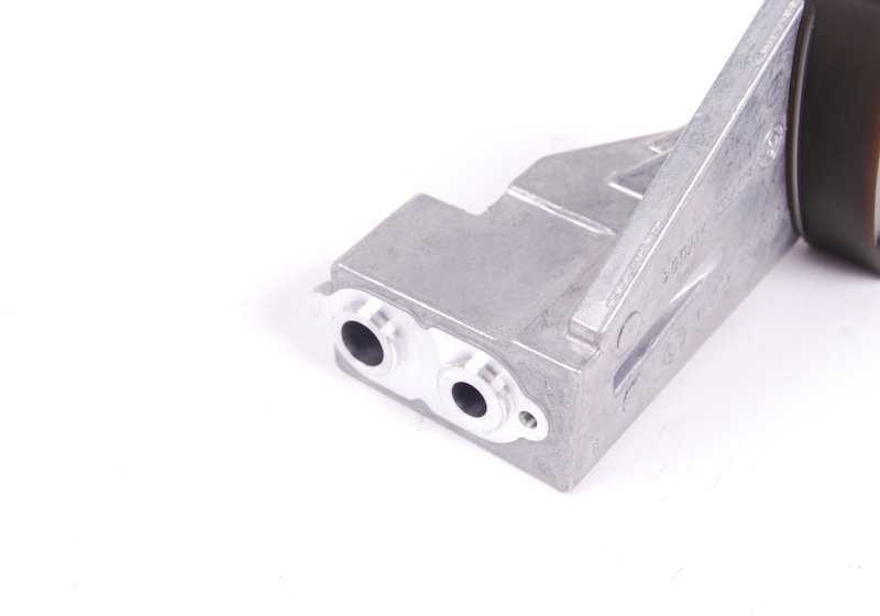 Guía de cadena de distribución OEM 11317504471 para BMW E60, E61, E63, E64, E65, E66, E53, E70. Original BMW.