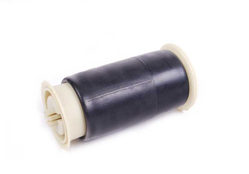 Suspension pneumatique arrière pour BMW X5 E70, E70N (OEM 37126790078). BMW d'origine