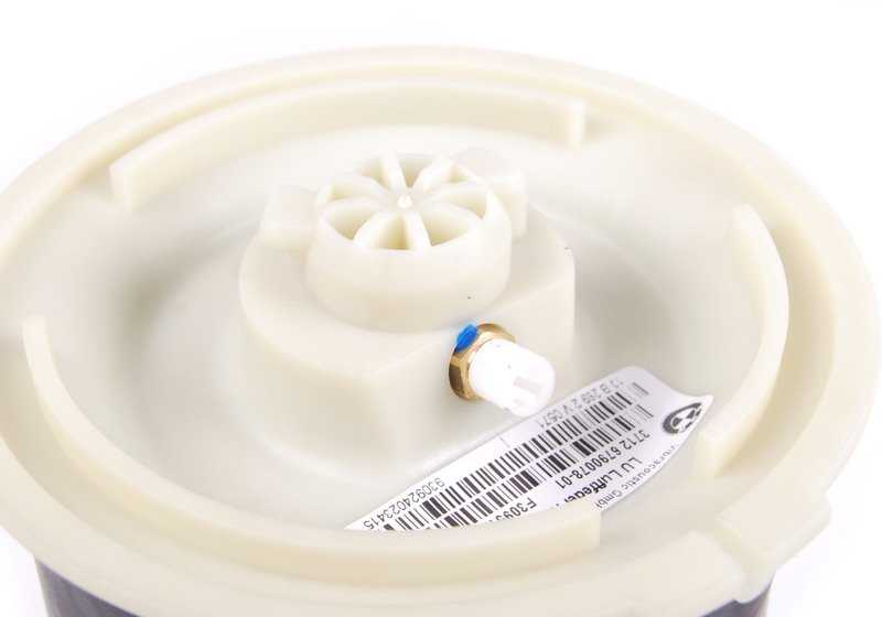 Suspension pneumatique arrière pour BMW X5 E70, E70N (OEM 37126790078). BMW d'origine