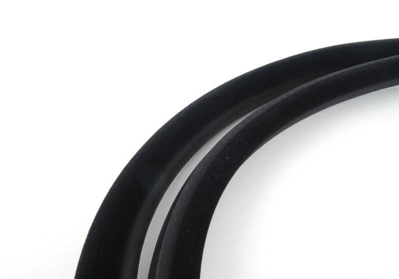 Protector de borde trasero OEM 51727025580 para BMW X5 E53. Original BMW.