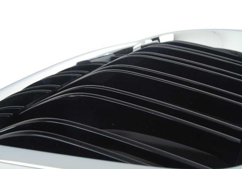 Rejilla decorativa delantera izquierda OEM 51138057223 para BMW F10 M5 (2011-2016). Original BMW.