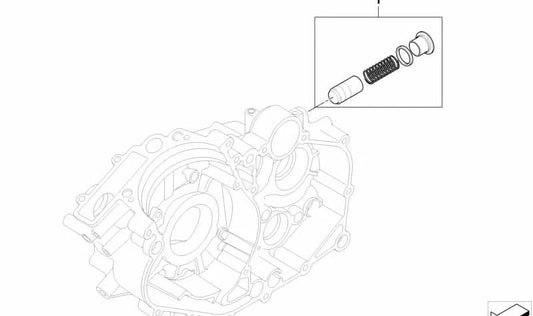 Juego válvula reguladora de presión de aceite OEM 11427707102 para moto BMW G 450 X (K16). Original BMW Motorrad.