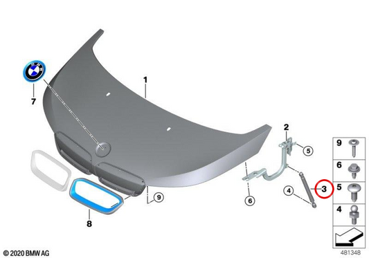 OEM anteriore a molla a gas 51237299161 per BMW I3 (I01). BMW originale.