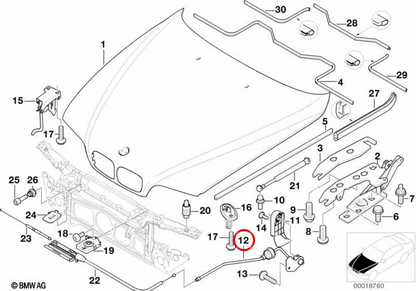OEM 51238176595 front hood drive for BMW 5 E39 (1995–2003). Original BMW.