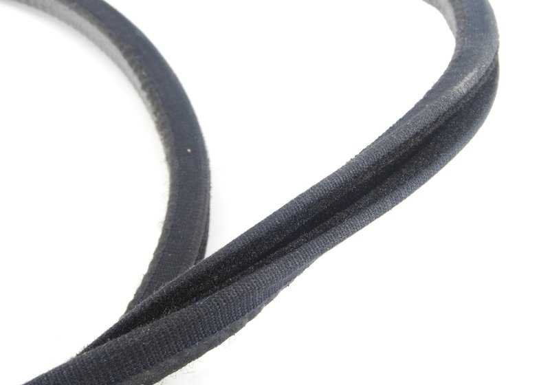 OEM 5132654262 Guide de fenêtre avant pour la série BMW 3 (E46). BMW d'origine.