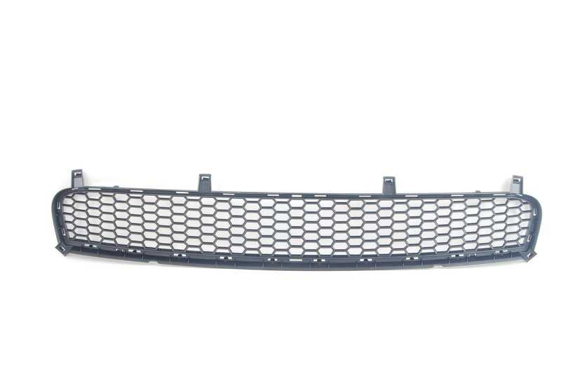 Lower Central Grid OEM 51118047339 for BMW X5 E70. Original BMW piece.