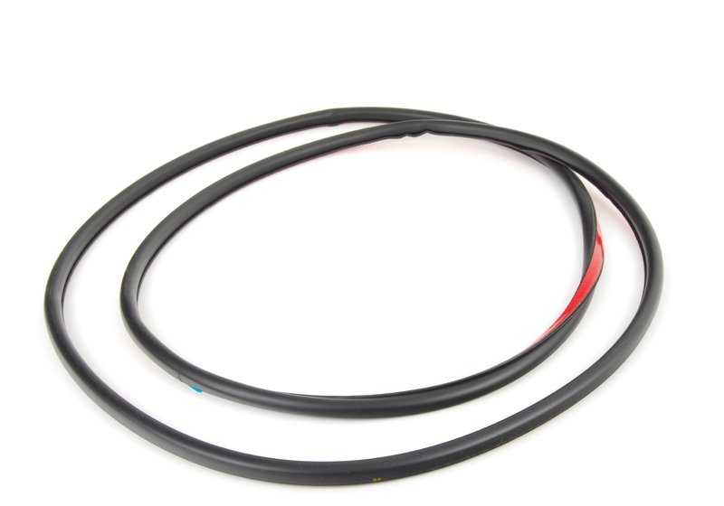 Front door gasket for BMW F30, F31 3 series. Genuine BMW