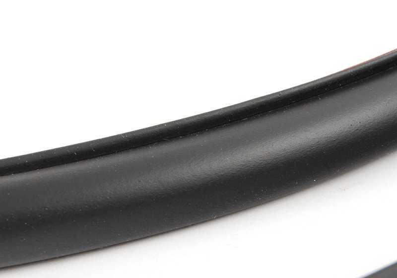 Front door gasket for BMW F30, F31 3 series. Genuine BMW