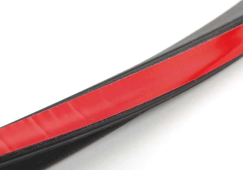 Front door gasket for BMW F30, F31 3 series. Genuine BMW